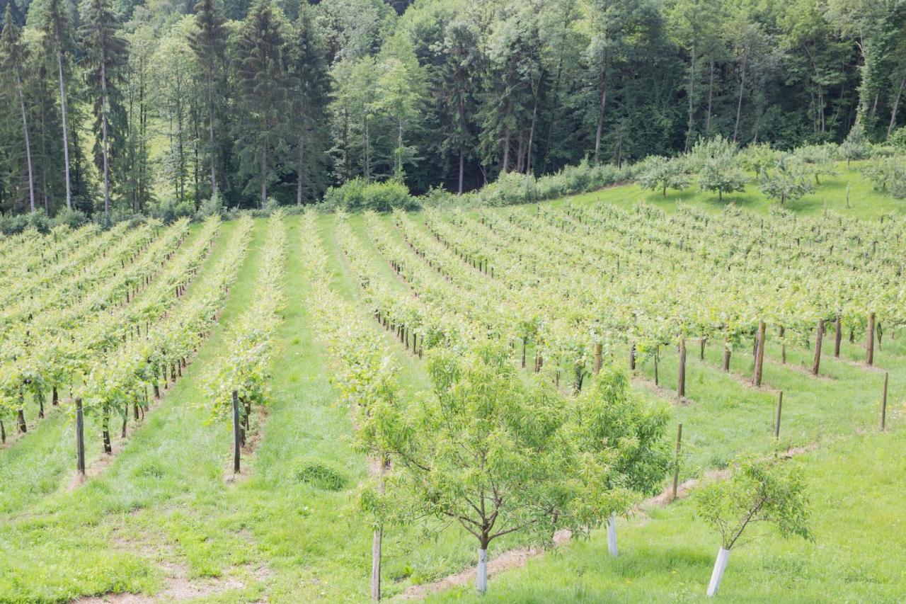 Buschenschank Ofnerpeter Sankt Stefan ob Stainz Kültér fotó